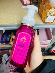 Bath & Body Works Foaming Hand Soap