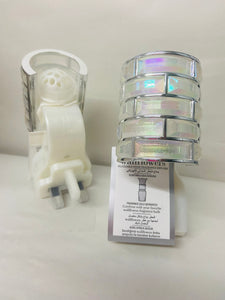 Bath & Body Works Wallflower Plug In